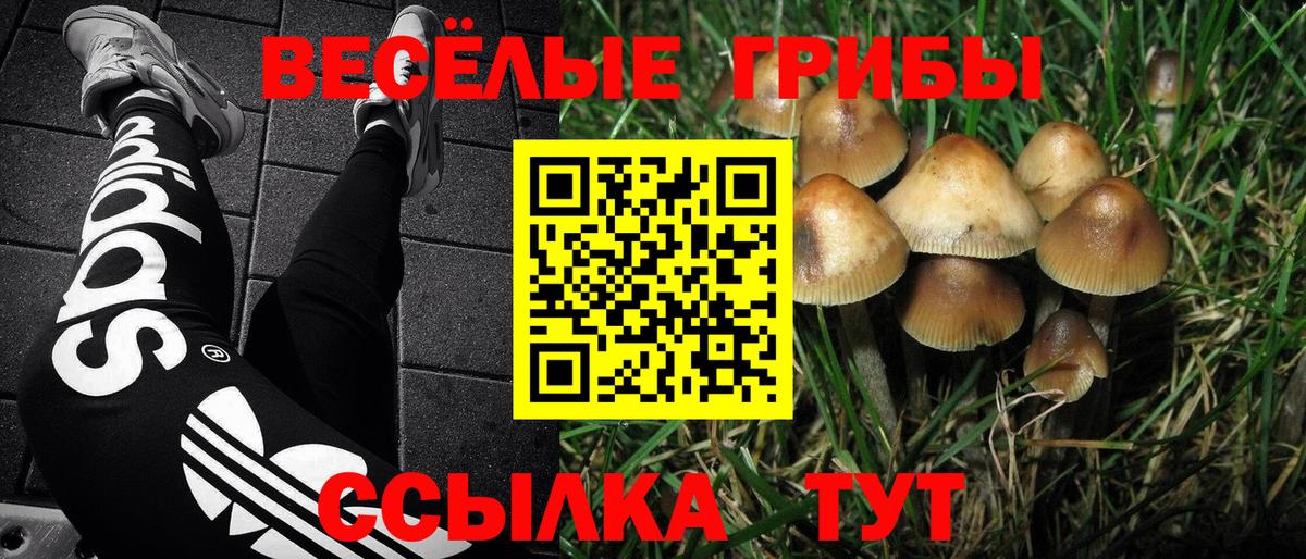 Заинск  Вход с VPN  МДМА  A PVP СОЛЬ кристаллы  Марихуана  Сколько стоит  COCAIN  Меф МЯУ МЯУ кристаллы 